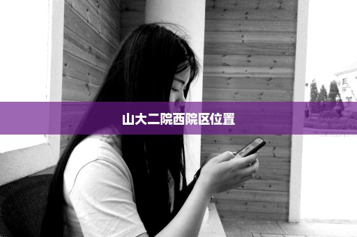 山大二院西院区位置