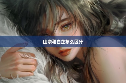 山奈和白芷怎么区分