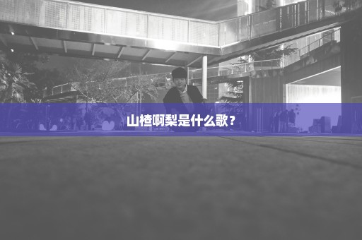 山楂啊梨是什么歌？
