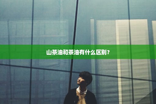 山茶油和茶油有什么区别？