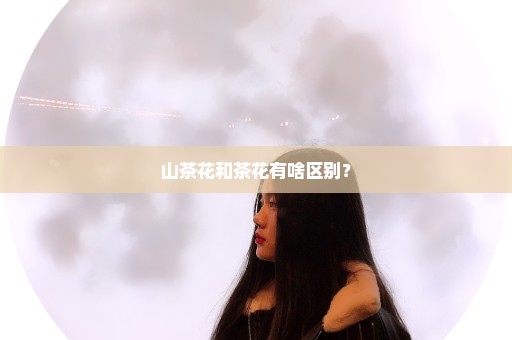 山茶花和茶花有啥区别？
