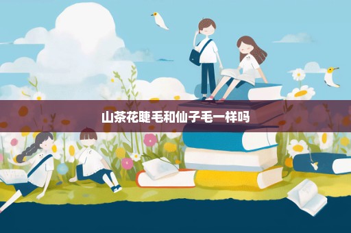 山茶花睫毛和仙子毛一样吗