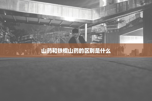 山药和铁棍山药的区别是什么