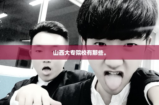 山西大专院校有那些。