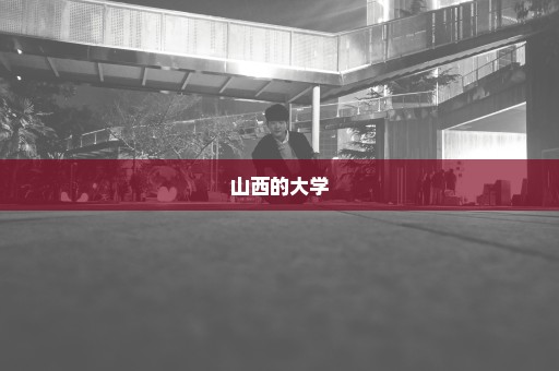 山西的大学