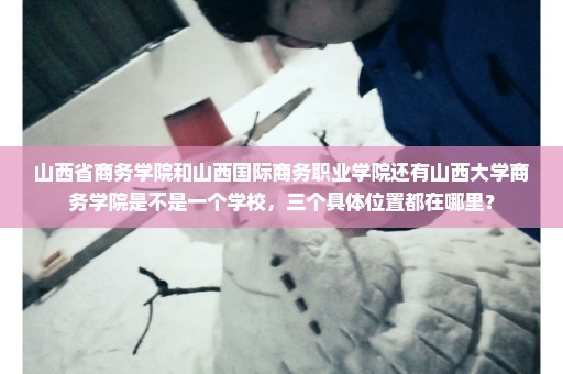 山西省商务学院和山西国际商务职业学院还有山西大学商务学院是不是一个学校，三个具体位置都在哪里？