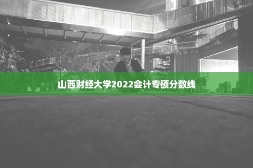 山西财经大学2022会计专硕分数线