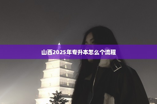山西2025年专升本怎么个流程