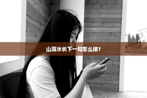 山高水长下一句怎么接？