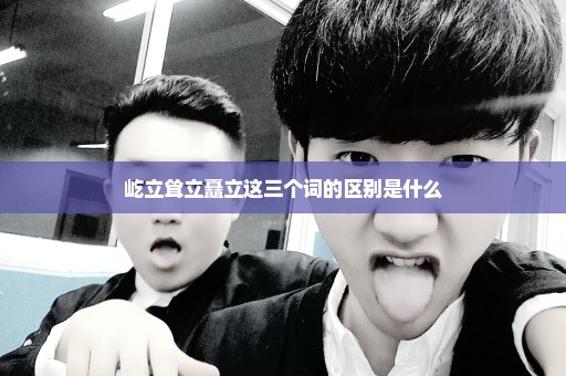 屹立耸立矗立这三个词的区别是什么