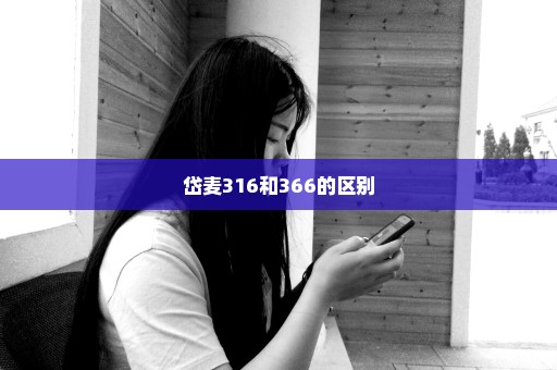 岱麦316和366的区别