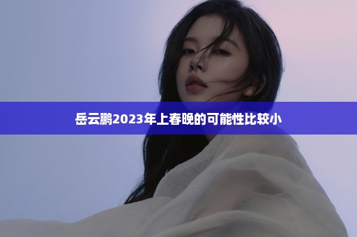 岳云鹏2023年上春晚的可能性比较小