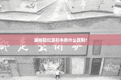 崖柏和红豆杉木有什么区别?