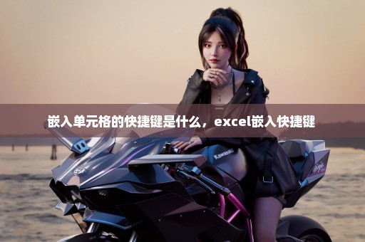 嵌入单元格的快捷键是什么，excel嵌入快捷键 