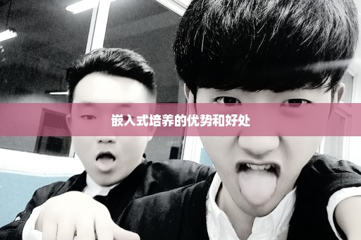 嵌入式培养的优势和好处