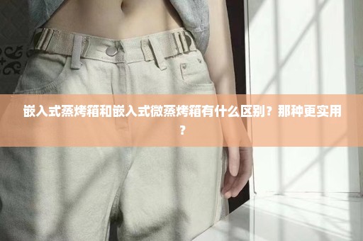 嵌入式蒸烤箱和嵌入式微蒸烤箱有什么区别？那种更实用？