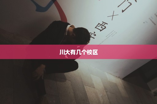 川大有几个校区