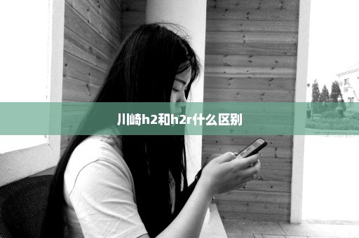 川崎h2和h2r什么区别