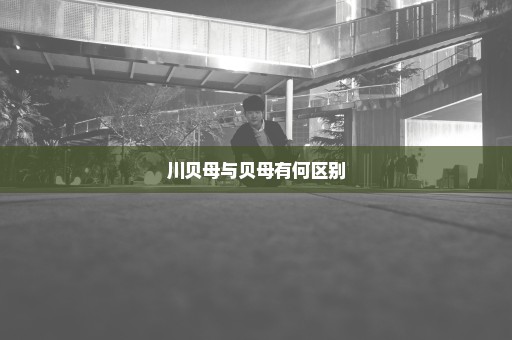 川贝母与贝母有何区别