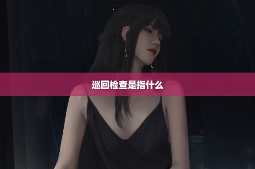巡回检查是指什么