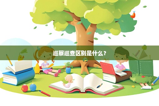 巡察巡查区别是什么？