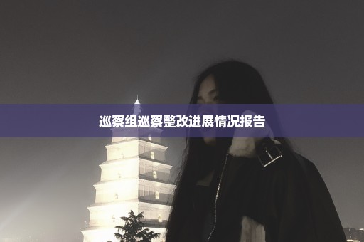 巡察组巡察整改进展情况报告