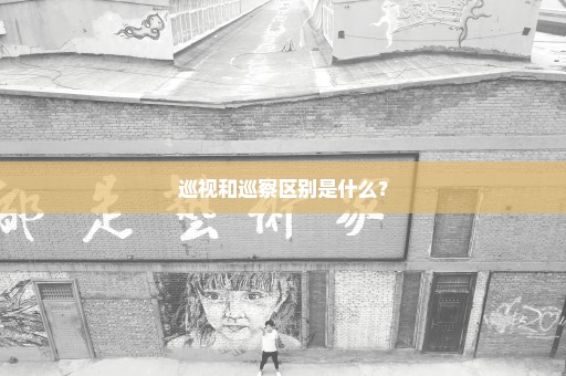 巡视和巡察区别是什么？