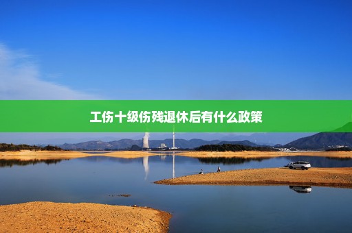 工伤十级伤残退休后有什么政策