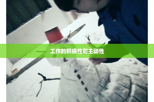 工作的积极性和主动性