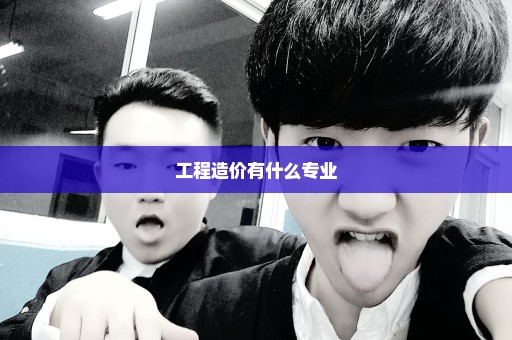 工程造价有什么专业