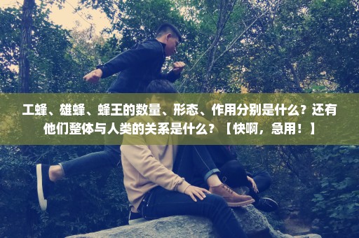 工蜂、雄蜂、蜂王的数量、形态、作用分别是什么？还有他们整体与人类的关系是什么？【快啊，急用！】