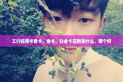 工行信用卡普卡，金卡，白金卡区别是什么，哪个好