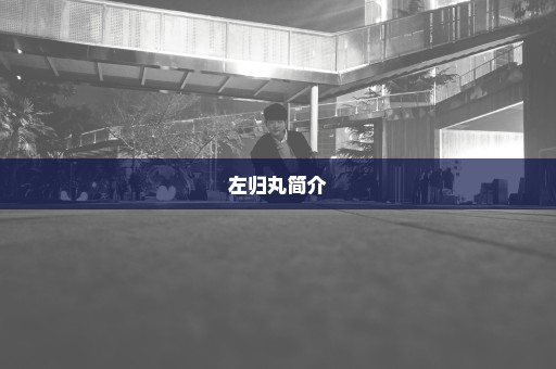 左归丸简介