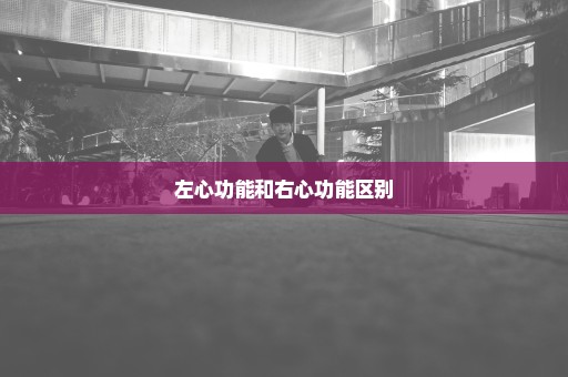 左心功能和右心功能区别