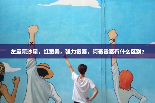 左氧氟沙星，红霉素，强力霉素，阿奇霉素有什么区别？