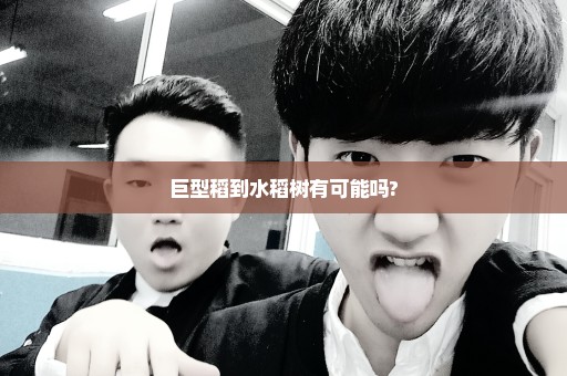 巨型稻到水稻树有可能吗?