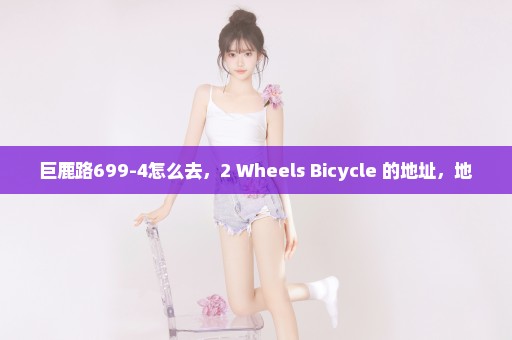 巨鹿路699-4怎么去，2 Wheels Bicycle 的地址，地