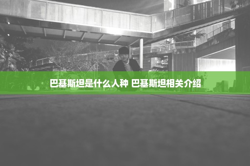 巴基斯坦是什么人种 巴基斯坦相关介绍
