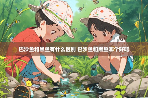 巴沙鱼和黑鱼有什么区别 巴沙鱼和黑鱼哪个好吃