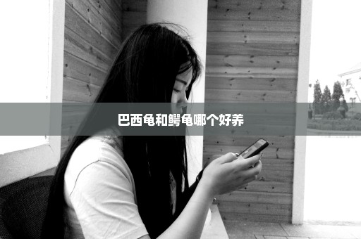 巴西龟和鳄龟哪个好养