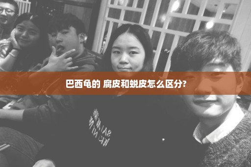 巴西龟的 腐皮和蜕皮怎么区分?