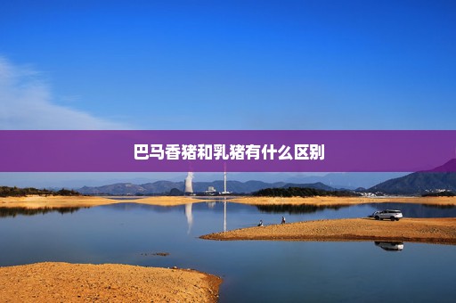 巴马香猪和乳猪有什么区别