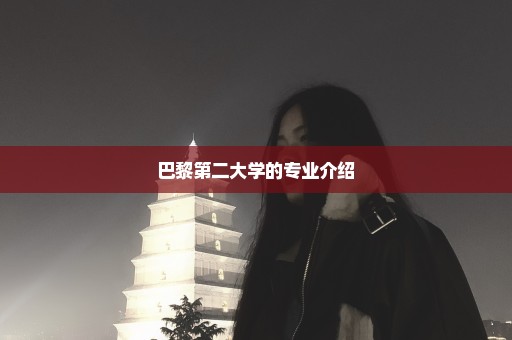 巴黎第二大学的专业介绍