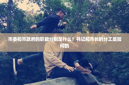 市委和市政府的职能分别是什么？书记和市长的分工是如何的