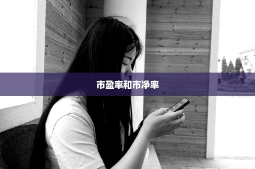 市盈率和市净率