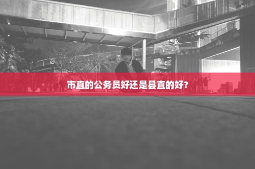 市直的公务员好还是县直的好？