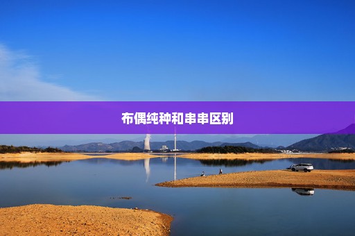 布偶纯种和串串区别