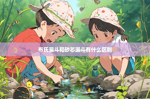 布氏漏斗和砂芯漏斗有什么区别