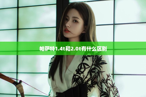 帕萨特1.4t和2.0t有什么区别