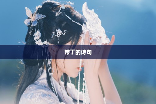 带丁的诗句